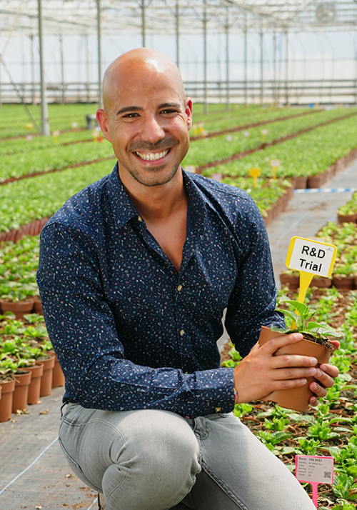 David Ferreira