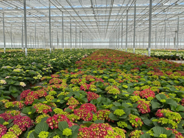 Vacature stage productieafdeling