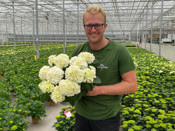 Vacature Teeltspecialist Maasdijk