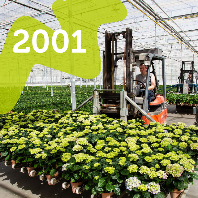 2001 groot